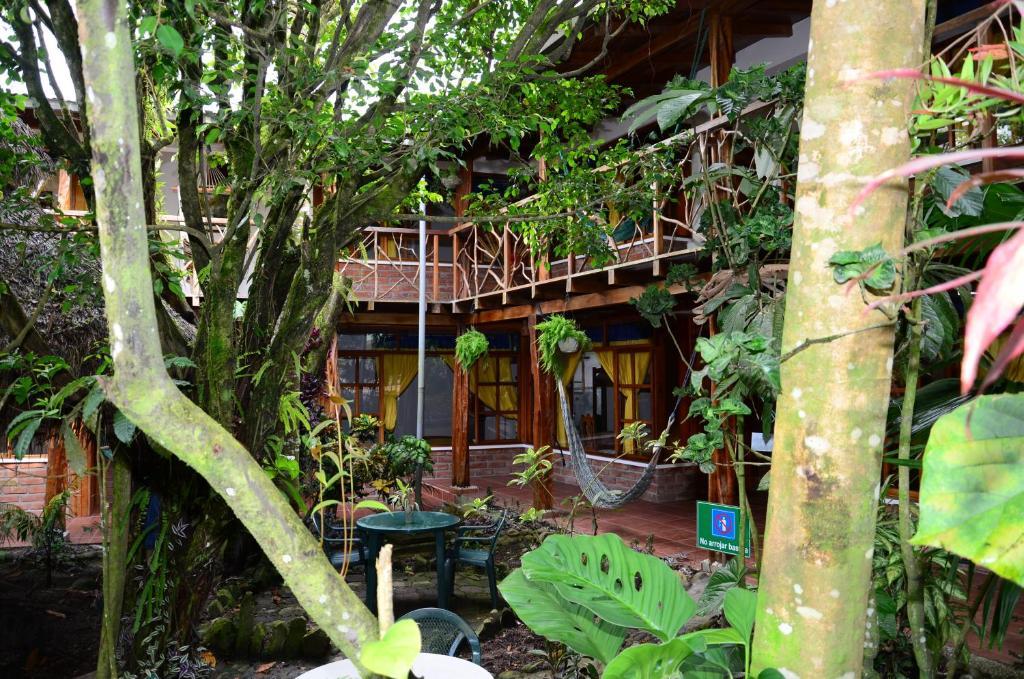 Hostal Las Palmas Puyo Ngoại thất bức ảnh